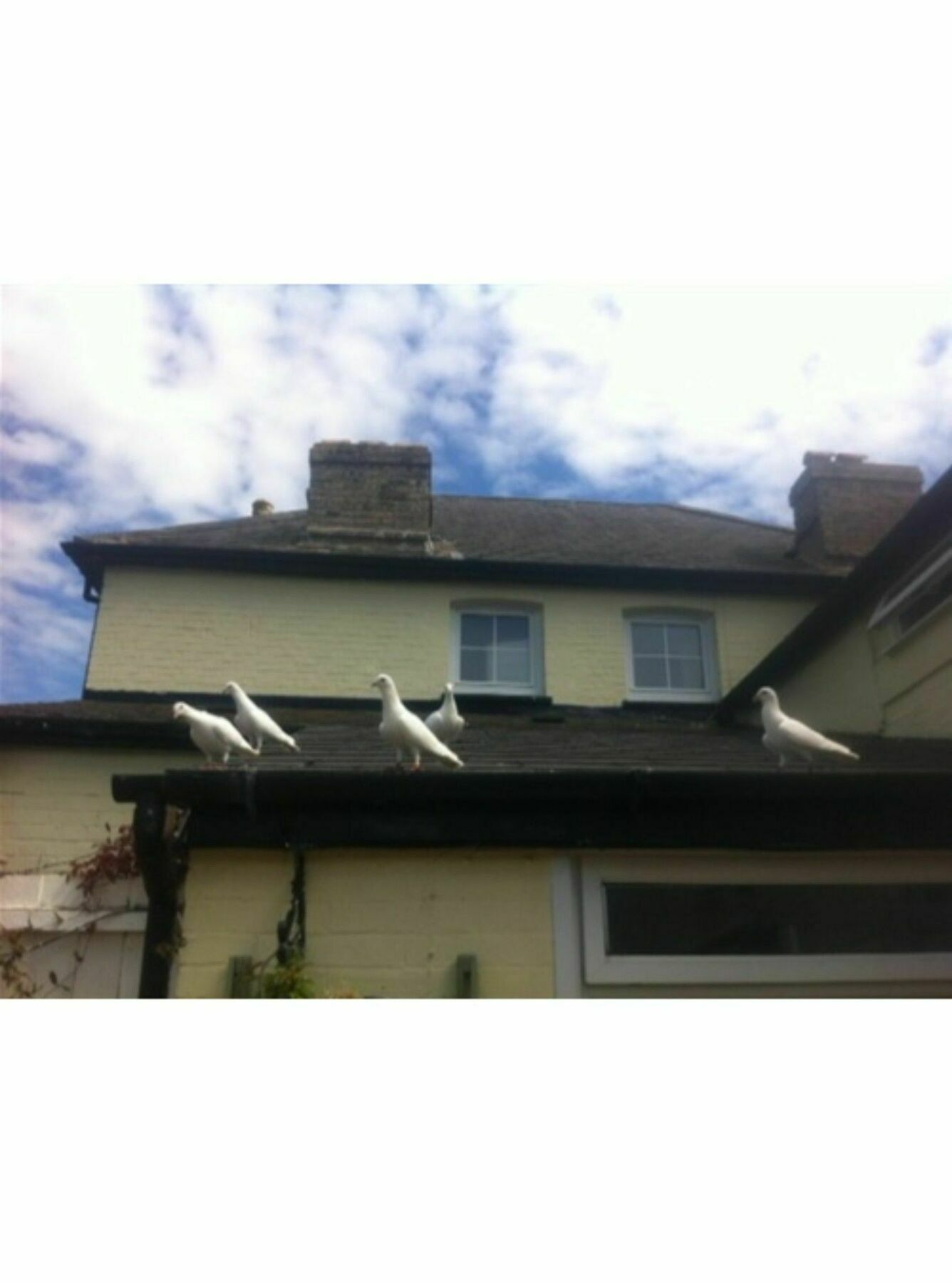 Long Melford Accommodation, Old Stables Exterior foto